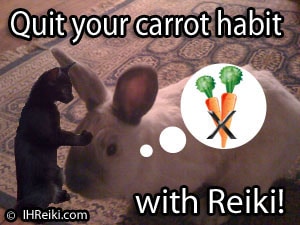 rabbitreiki